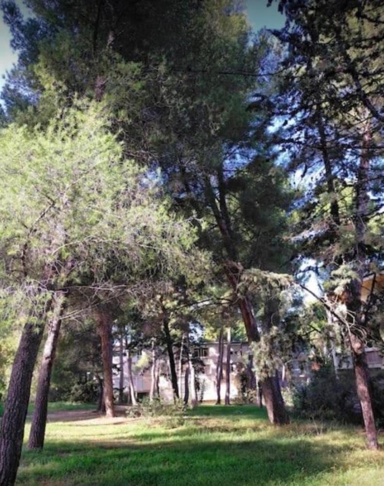 Studio Marseille Calanques Extérieur photo