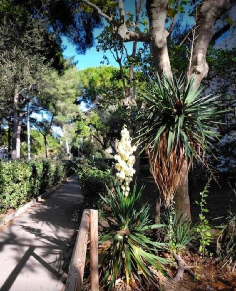Studio Marseille Calanques Extérieur photo